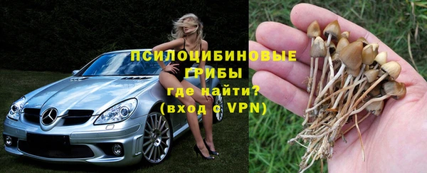 spice Киреевск