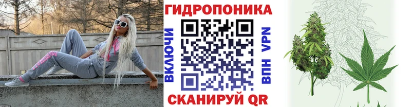 Конопля White Widow  Купить где  Пойковский 